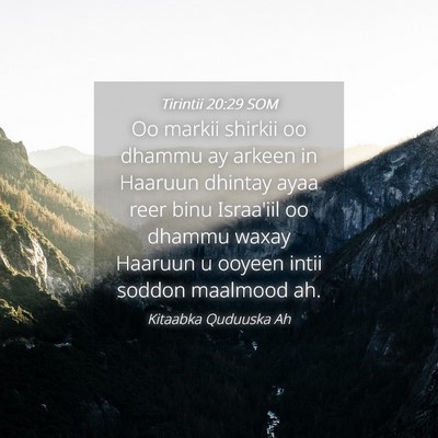 Picture 04 - Tirintii 20:29 SOM - Oo markii shirkii oo dhammu ay arkeen in Haaruun - Bible Verse Picture