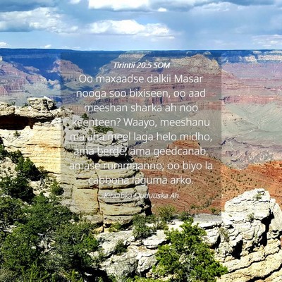 Picture 04 - Tirintii 20:5 SOM - Oo maxaadse dalkii Masar nooga soo bixiseen, oo - Bible Verse Picture