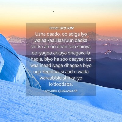 Picture 04 - Tirintii 20:8 SOM - Usha qaado, oo adiga iyo walaalkaa Haaruun dadka - Bible Verse Picture