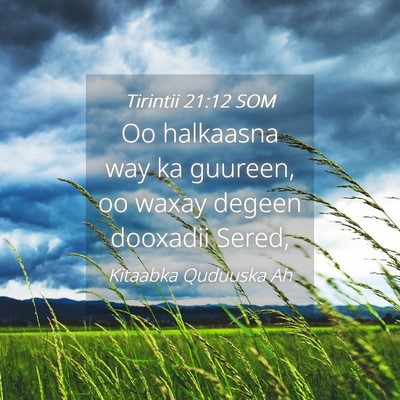 Picture 04 - Tirintii 21:12 SOM - Oo halkaasna way ka guureen, oo waxay degeen - Bible Verse Picture