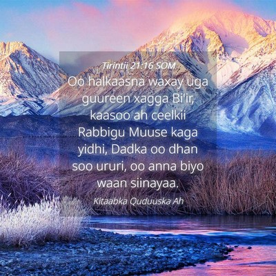 Picture 04 - Tirintii 21:16 SOM - Oo halkaasna waxay uga guureen xagga Bi'ir, - Bible Verse Picture