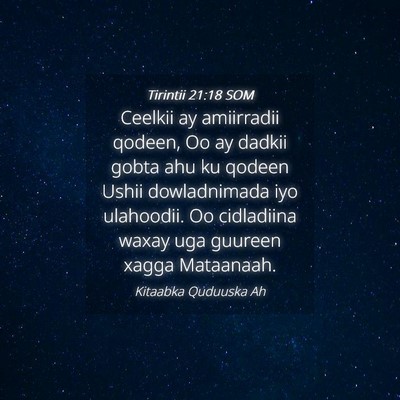 Picture 04 - Tirintii 21:18 SOM - Ceelkii ay amiirradii qodeen, Oo ay dadkii gobta - Bible Verse Picture