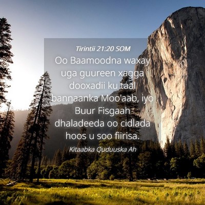 Picture 04 - Tirintii 21:20 SOM - Oo Baamoodna waxay uga guureen xagga dooxadii ku - Bible Verse Picture
