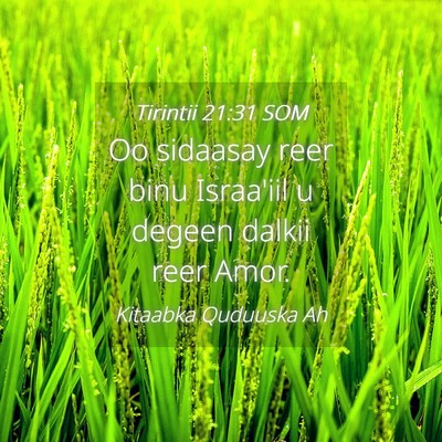 Picture 04 - Tirintii 21:31 SOM - Oo sidaasay reer binu Israa'iil u degeen dalkii - Bible Verse Picture