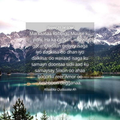 Picture 04 - Tirintii 21:34 SOM - Markaasaa Rabbigu Muuse ku yidhi, Ha ka cabsan, - Bible Verse Picture