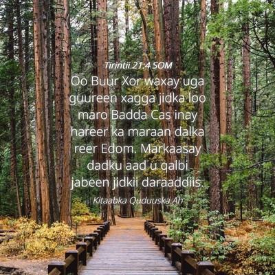 Picture 04 - Tirintii 21:4 SOM - Oo Buur Xor waxay uga guureen xagga jidka loo - Bible Verse Picture
