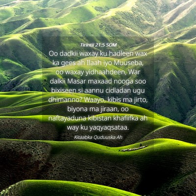 Picture 04 - Tirintii 21:5 SOM - Oo dadkii waxay ku hadleen wax ka gees ah Ilaah - Bible Verse Picture