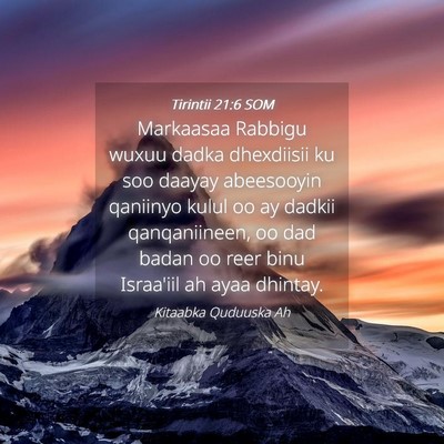 Picture 04 - Tirintii 21:6 SOM - Markaasaa Rabbigu wuxuu dadka dhexdiisii ku soo - Bible Verse Picture