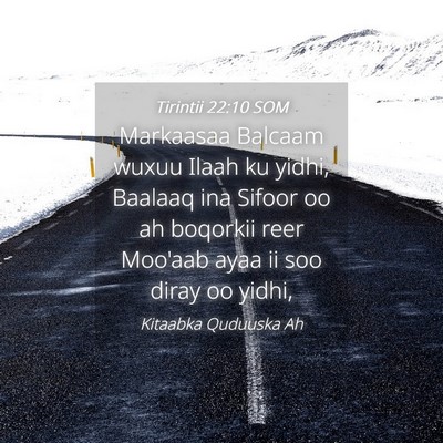 Picture 04 - Tirintii 22:10 SOM - Markaasaa Balcaam wuxuu Ilaah ku yidhi, Baalaaq - Bible Verse Picture