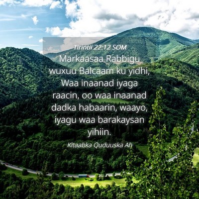 Picture 04 - Tirintii 22:12 SOM - Markaasaa Rabbigu wuxuu Balcaam ku yidhi, Waa - Bible Verse Picture