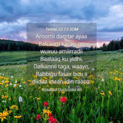 Picture 04 - Tirintii 22:13 SOM - Aroortii dambe ayaa Balcaam kacay, oo wuxuu - Bible Verse Picture