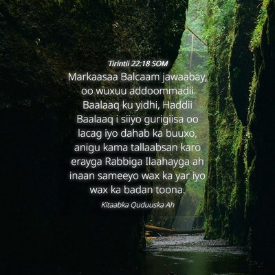 Picture 04 - Tirintii 22:18 SOM - Markaasaa Balcaam jawaabay, oo wuxuu addoommadii - Bible Verse Picture