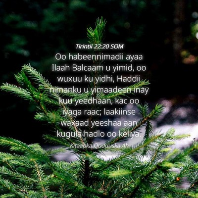 Picture 04 - Tirintii 22:20 SOM - Oo habeennimadii ayaa Ilaah Balcaam u yimid, oo - Bible Verse Picture