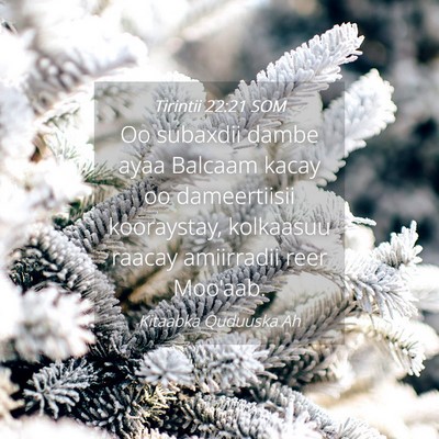 Picture 04 - Tirintii 22:21 SOM - Oo subaxdii dambe ayaa Balcaam kacay oo - Bible Verse Picture
