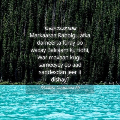 Picture 04 - Tirintii 22:28 SOM - Markaasaa Rabbigu afka dameerta furay oo waxay - Bible Verse Picture