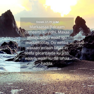 Picture 04 - Tirintii 22:29 SOM - Markaasaa Balcaam dameertii ku yidhi, Maxaa - Bible Verse Picture