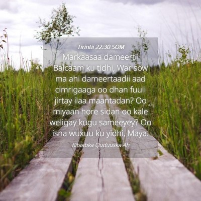 Picture 04 - Tirintii 22:30 SOM - Markaasaa dameertii Balcaam ku tidhi, War sow ma - Bible Verse Picture