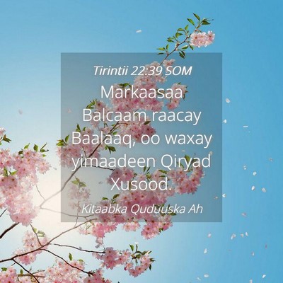 Picture 04 - Tirintii 22:39 SOM - Markaasaa Balcaam raacay Baalaaq, oo waxay - Bible Verse Picture