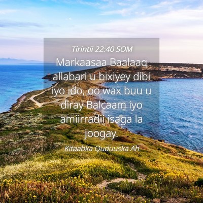 Picture 04 - Tirintii 22:40 SOM - Markaasaa Baalaaq allabari u bixiyey dibi iyo - Bible Verse Picture