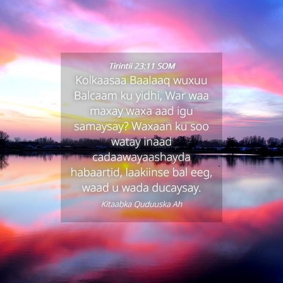 Picture 04 - Tirintii 23:11 SOM - Kolkaasaa Baalaaq wuxuu Balcaam ku yidhi, War waa - Bible Verse Picture