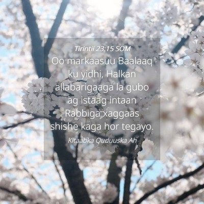 Picture 04 - Tirintii 23:15 SOM - Oo markaasuu Baalaaq ku yidhi, Halkan - Bible Verse Picture