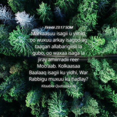 Picture 04 - Tirintii 23:17 SOM - Markaasuu isagii u yimid, oo wuxuu arkay isagoo - Bible Verse Picture