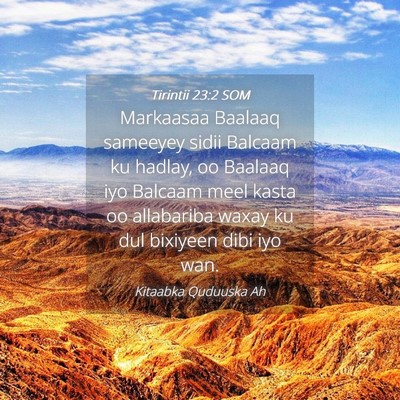 Picture 04 - Tirintii 23:2 SOM - Markaasaa Baalaaq sameeyey sidii Balcaam ku - Bible Verse Picture