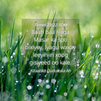 Picture 04 - Tirintii 23:22 SOM - Ilaah baa iyaga Masar ka soo bixiyey, Iyagu waxay - Bible Verse Picture