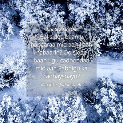 Picture 04 - Tirintii 23:8 SOM - Bal sidee baan u habaaraa mid aan Ilaah habaarin? - Bible Verse Picture