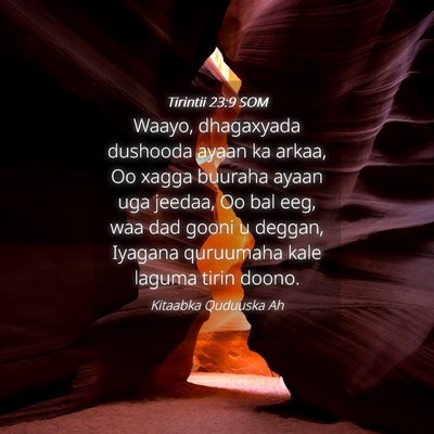 Picture 04 - Tirintii 23:9 SOM - Waayo, dhagaxyada dushooda ayaan ka arkaa, Oo - Bible Verse Picture