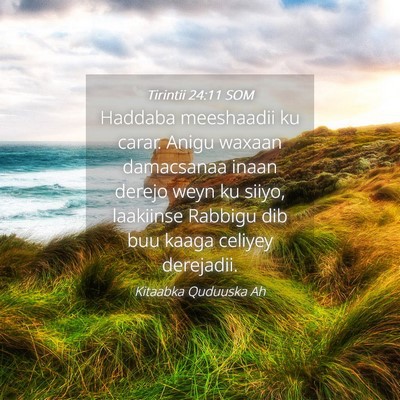 Picture 04 - Tirintii 24:11 SOM - Haddaba meeshaadii ku carar. Anigu waxaan - Bible Verse Picture