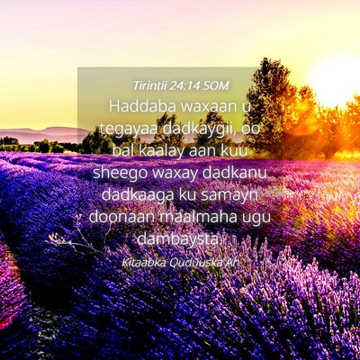 Picture 04 - Tirintii 24:14 SOM - Haddaba waxaan u tegayaa dadkaygii, oo bal kaalay - Bible Verse Picture