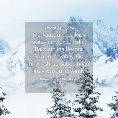 Picture 04 - Tirintii 24:3 SOM - Markaasuu hadalkiisii watay oo wuxuu yidhi, - Bible Verse Picture