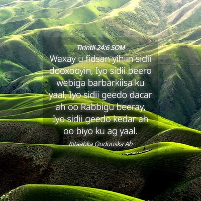Picture 04 - Tirintii 24:6 SOM - Waxay u fidsan yihiin sidii dooxooyin, Iyo sidii - Bible Verse Picture