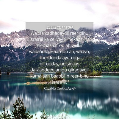 Picture 04 - Tirintii 25:11 SOM - Waxaa cadhadaydii reer binu Israa'iil ka celiyey - Bible Verse Picture