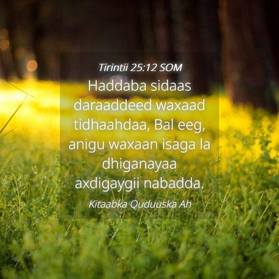 Picture 04 - Tirintii 25:12 SOM - Haddaba sidaas daraaddeed waxaad tidhaahdaa, Bal - Bible Verse Picture
