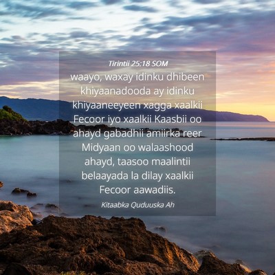 Picture 04 - Tirintii 25:18 SOM - waayo, waxay idinku dhibeen khiyaanadooda ay - Bible Verse Picture