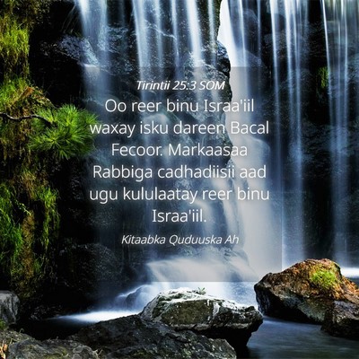 Picture 04 - Tirintii 25:3 SOM - Oo reer binu Israa'iil waxay isku dareen Bacal - Bible Verse Picture