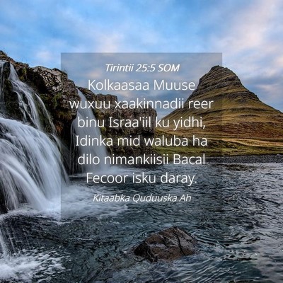 Picture 04 - Tirintii 25:5 SOM - Kolkaasaa Muuse wuxuu xaakinnadii reer binu - Bible Verse Picture