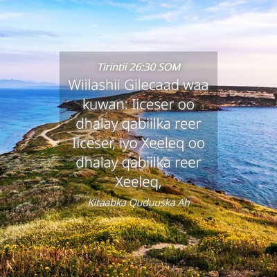 Picture 04 - Tirintii 26:30 SOM - Wiilashii Gilecaad waa kuwan: Iiceser oo dhalay - Bible Verse Picture