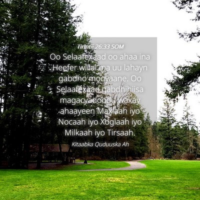 Picture 04 - Tirintii 26:33 SOM - Oo Selaafexaad oo ahaa ina Heefer wiilal ma uu - Bible Verse Picture