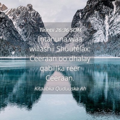 Picture 04 - Tirintii 26:36 SOM - Intanuna waa wiilashii Shuutelax: Ceeraan oo - Bible Verse Picture