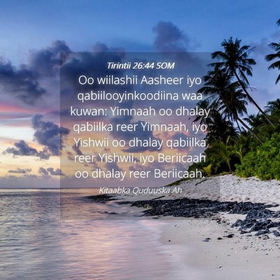 Picture 04 - Tirintii 26:44 SOM - Oo wiilashii Aasheer iyo qabiilooyinkoodiina waa - Bible Verse Picture