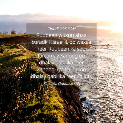 Picture 04 - Tirintii 26:5 SOM - Ruubeen wuxuu ahaa curadkii Israa'iil, oo waxaa - Bible Verse Picture