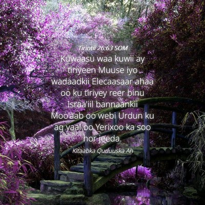 Picture 04 - Tirintii 26:63 SOM - Kuwaasu waa kuwii ay tiriyeen Muuse iyo wadaadkii - Bible Verse Picture
