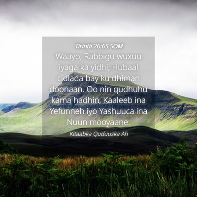 Picture 04 - Tirintii 26:65 SOM - Waayo, Rabbigu wuxuu iyaga ka yidhi, Hubaal - Bible Verse Picture