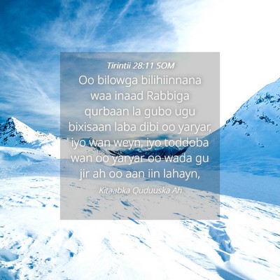 Picture 04 - Tirintii 28:11 SOM - Oo bilowga bilihiinnana waa inaad Rabbiga qurbaan - Bible Verse Picture