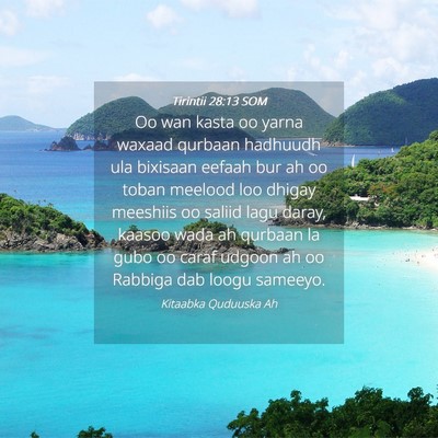 Picture 04 - Tirintii 28:13 SOM - Oo wan kasta oo yarna waxaad qurbaan hadhuudh ula - Bible Verse Picture