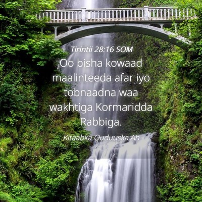 Picture 04 - Tirintii 28:16 SOM - Oo bisha kowaad maalinteeda afar iyo tobnaadna - Bible Verse Picture