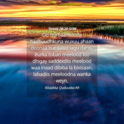 Picture 04 - Tirintii 28:20 SOM - Oo qurbaankooda hadhuudhkuna wuxuu ahaan doonaa - Bible Verse Picture